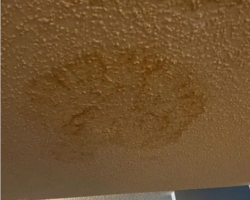 Ceiling mold damage common in older Wichita homes