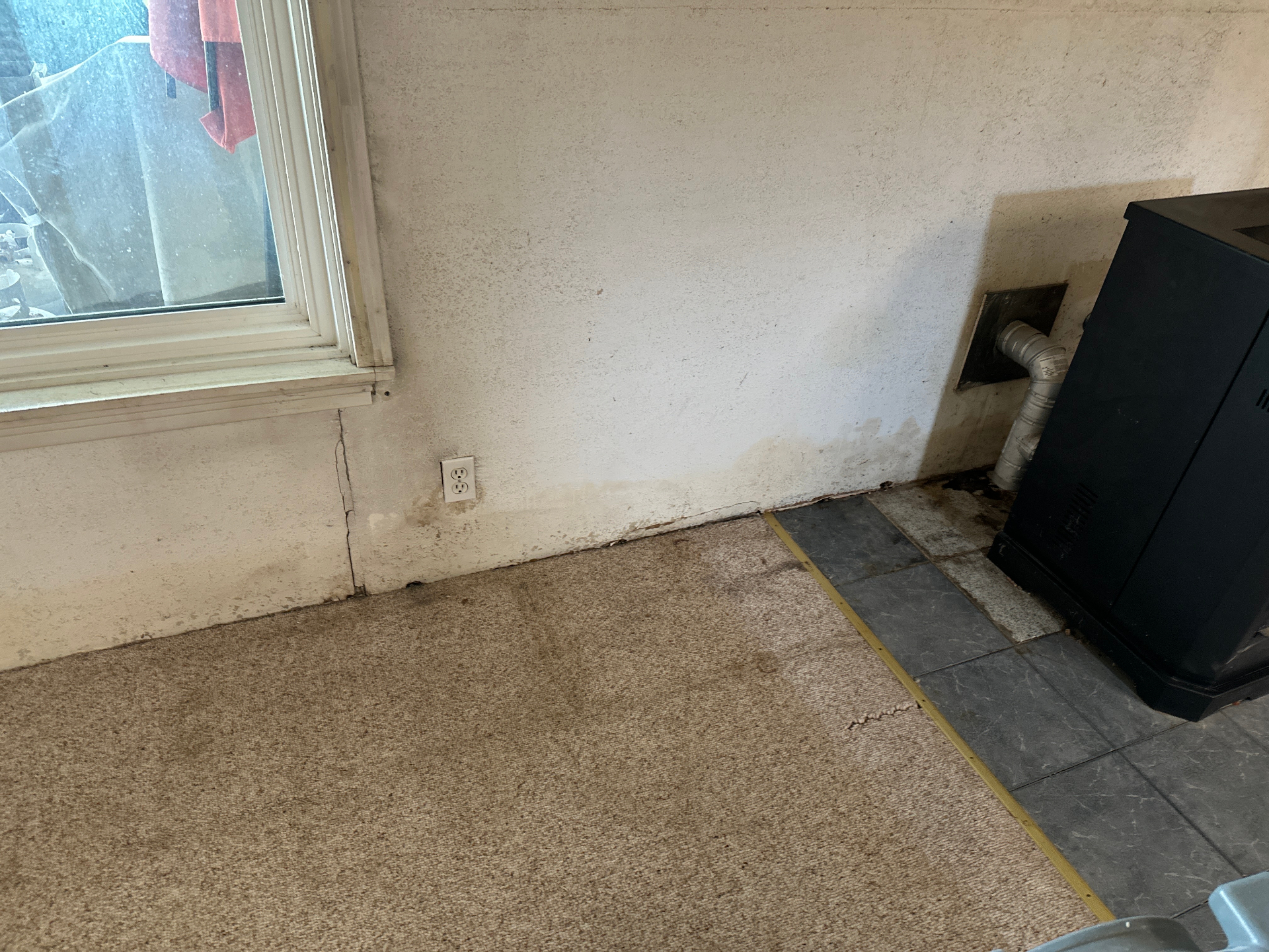 How to Choose a Mold Remediation Company in Wichita