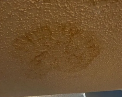 Ceiling discoloration due to mold2